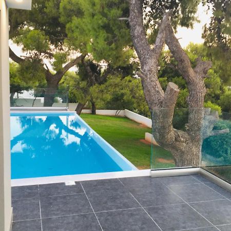 Villa tranquility Lagonisi Extérieur photo