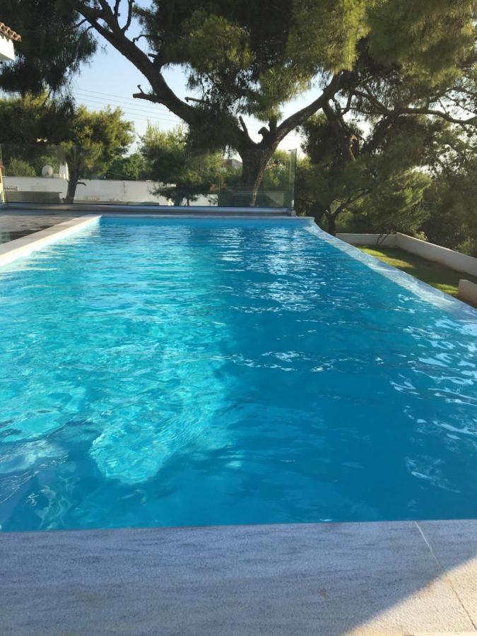 Villa tranquility Lagonisi Extérieur photo