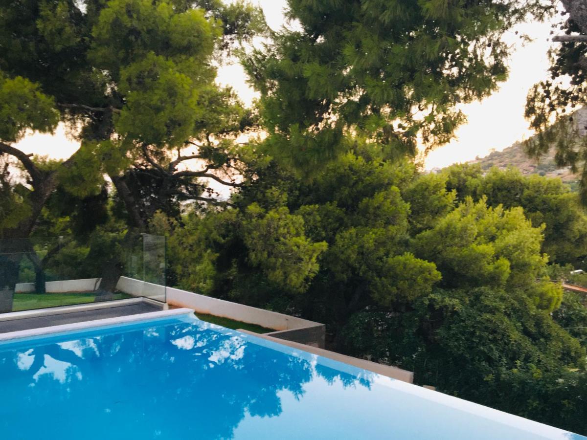 Villa tranquility Lagonisi Extérieur photo